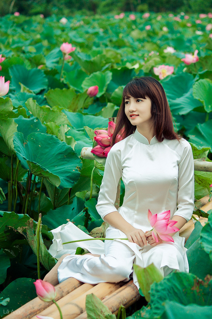 《风筝》大结局